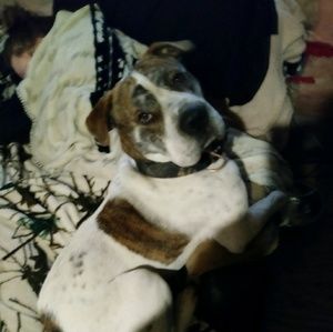 Meet your Posher, Kenna